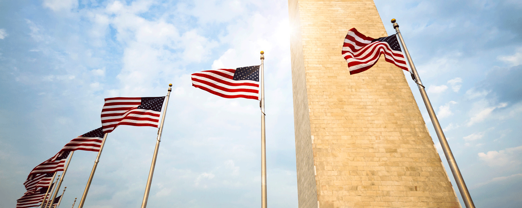 USA flags around Washington Monument