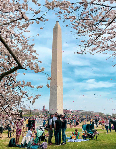 Kites fly during the Blossom Kite Festival at the Washington Monument