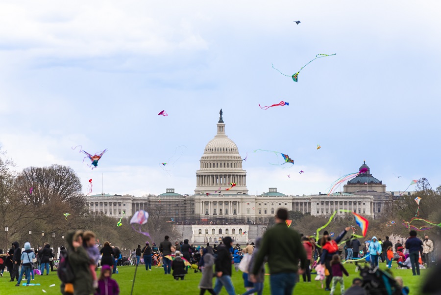 Cherry Blossom Kite Festival