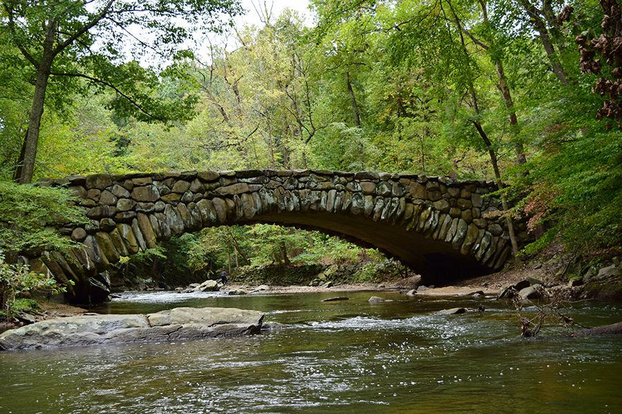 Rock Creek Park in summer