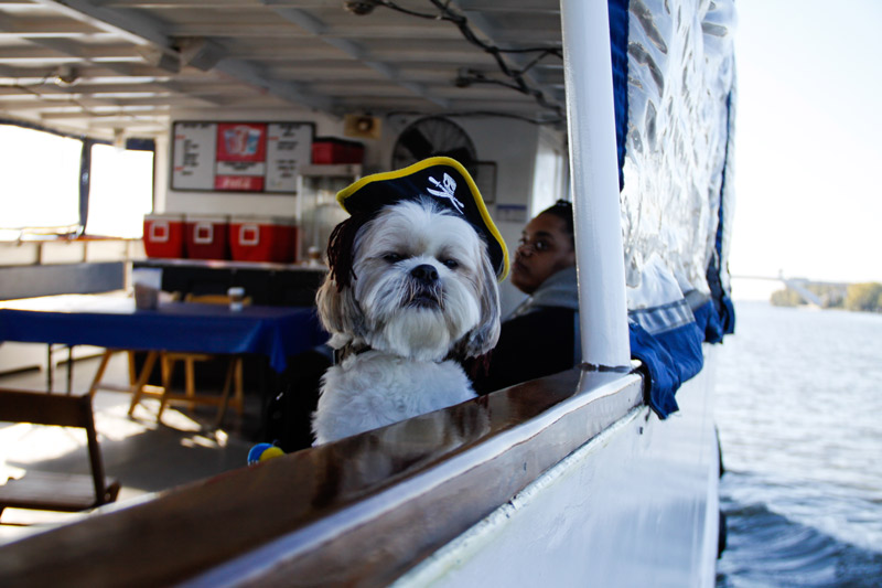 Potomac Riverboat Company dog-friendly boat cruises in Alexandria - Boating experiences and transportation in and around Washington, DC